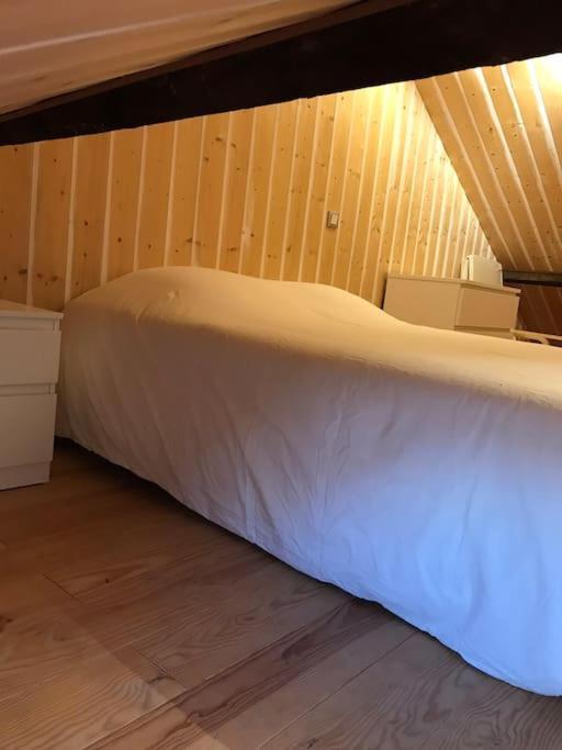Studio 30M2 Centre De Cusset Exteriör bild