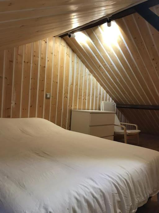 Studio 30M2 Centre De Cusset Exteriör bild
